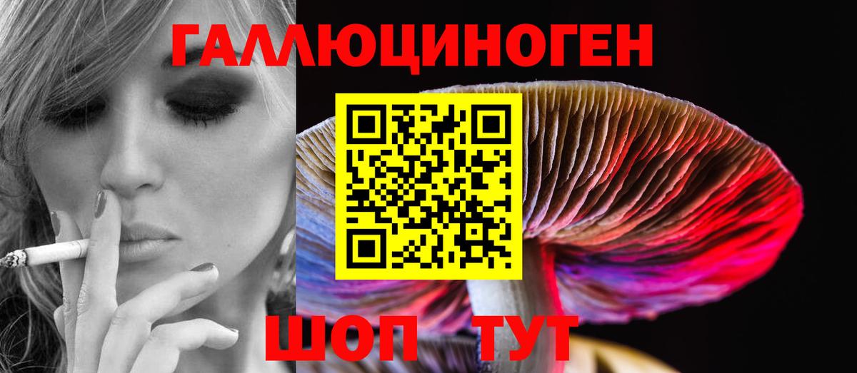 Псилоцибиновые грибы Psilocybine cubensis Балаково